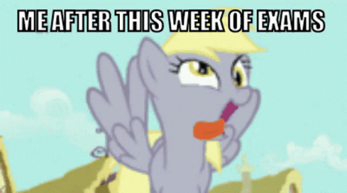 Pony Cartoon Saying Me After Exams