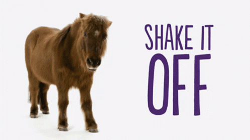 Pony Shake It Off GIF