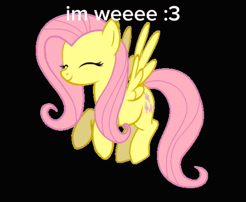 Pony With Wings Saying Im Weeeee