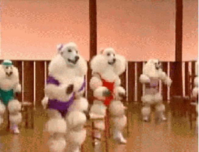 Poodle Dancing Dog Party GIF