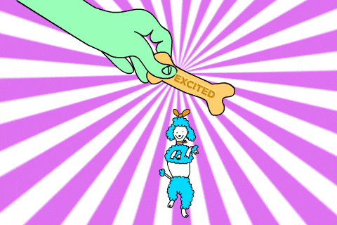 Poodle Excited Bone Toy GIF