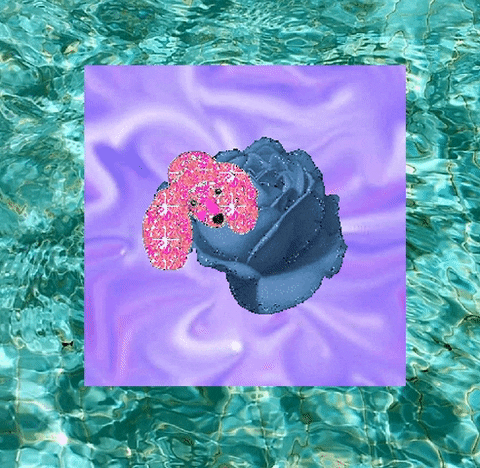 Poodle Floating Sheet Shiny GIF