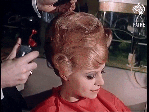 Poodle Owner Hair Done GIF