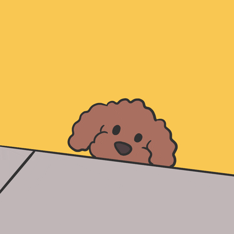 Poodle Playing Dinosaur Toy GIF