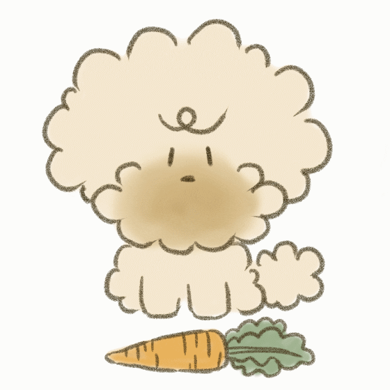 Poodle Shaking Head No Carrots GIF