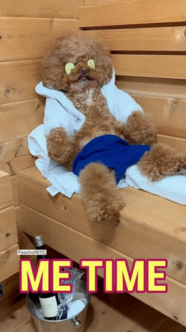 Poodle Sleeping Cucumber On Eyes GIF