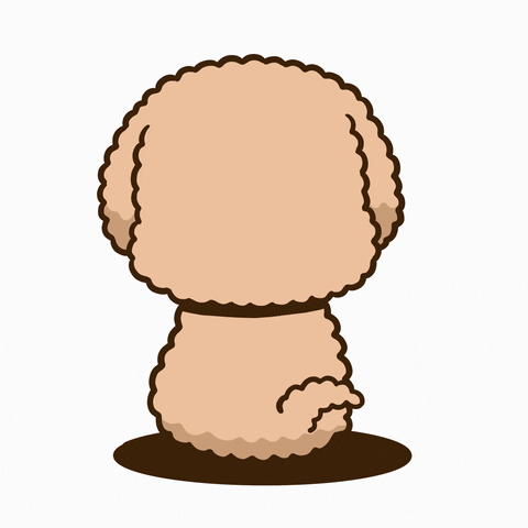 Poodle Tail Wiggling Behind Back GIF