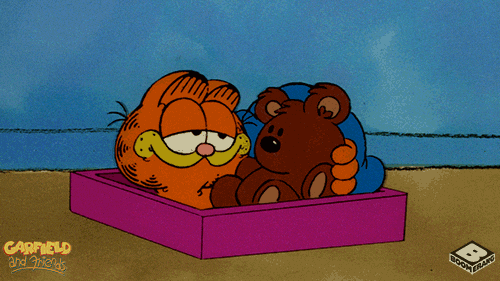 Pookie Garfield Cuddles GIF