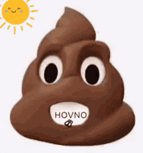 Poop Emoji With Sun And Flies GIF