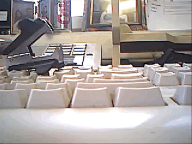 Poor Computer Mouse Hiding GIF