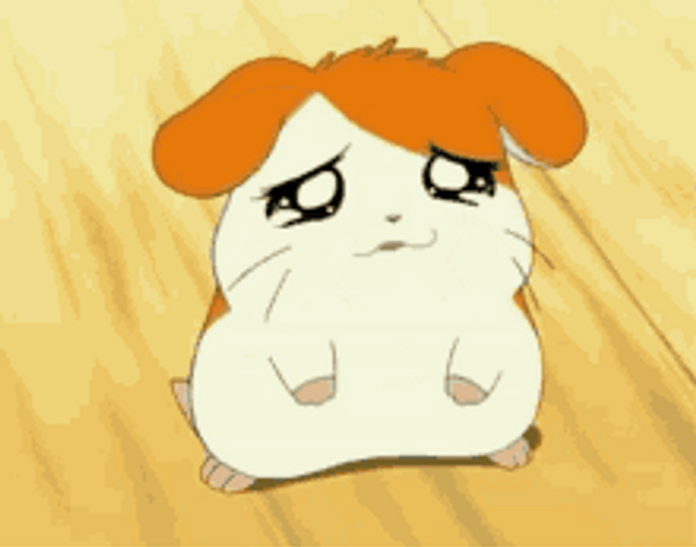 Poor Little Hamster Hurt Head Hamtaro Anime GIF