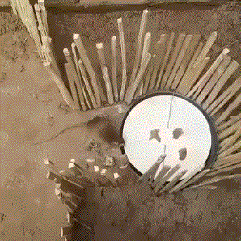 Poor Trapped Mouse Hiding GIF