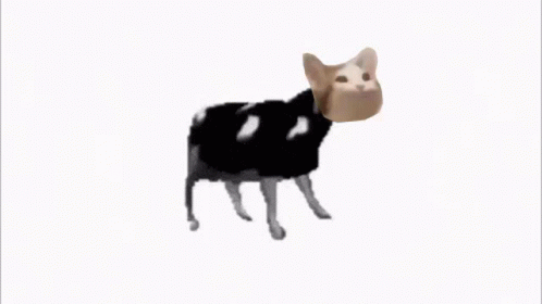 Pop Cat Cow Meme GIF