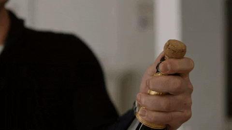 Pop Champagne Dylan Neal GIF