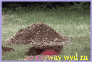 Pop Up Lifts Head Up Gif GIF