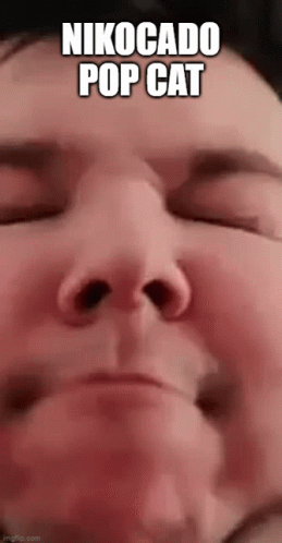 Popcat Nikocado Meme GIF