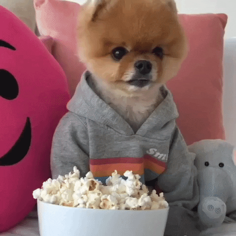 Popcorn Bowl Pom Puppy GIF
