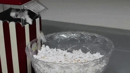 Popcorn Maker Ready GIF