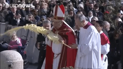 Pope Francis Mobile Blessing People GIF