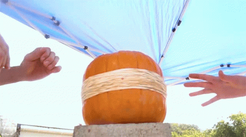 Popped Orange Pumpkin GIF