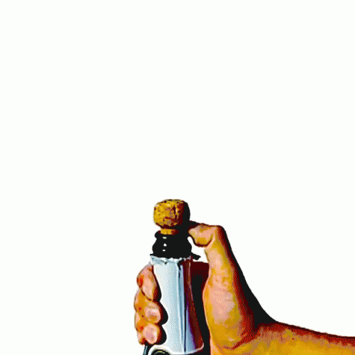 Bottle Of Champagne Popping Fountain GIF