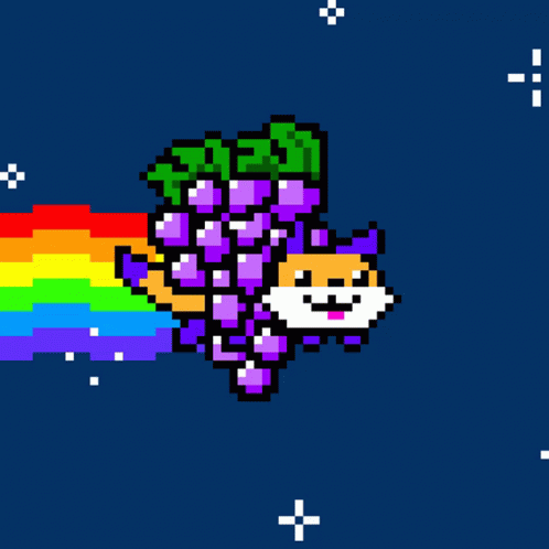 Poptart Cat Cute Fox With Grapes GIF