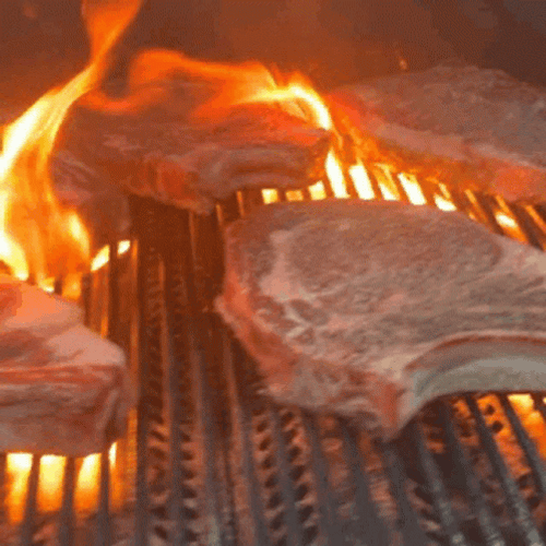 Porkchops Grilling Smoking Hot Bbq Party GIF