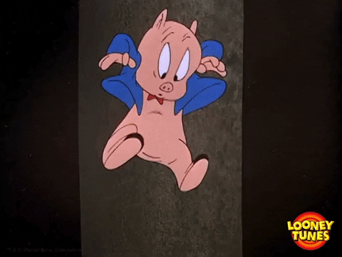 Porky Pig Sliding Waterslide GIF