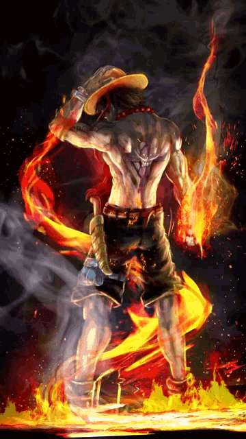 Portgas D Ace Flaming Artwork GIF