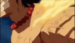 Portgas D Ace Flaming While Flying GIF