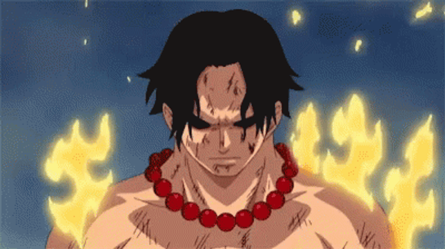 Portgas D. Ace One Piece Fire GIF