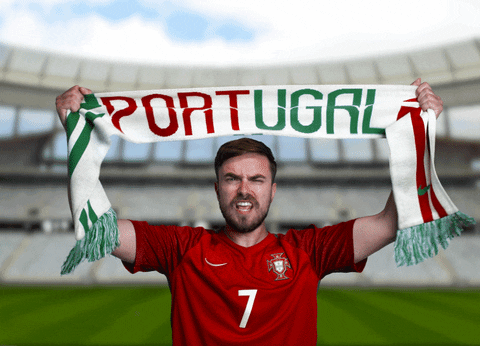 Portugal Fan Support Euro 2020 GIF