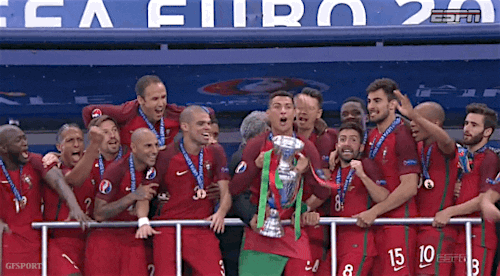 Portugal Football Champions Euro 2016 GIF