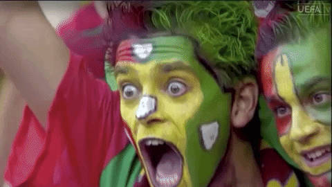 Portugal Football Fans Screaming GIF