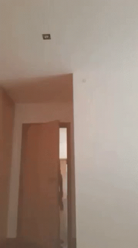 Portugal Homem Man Dancing GIF