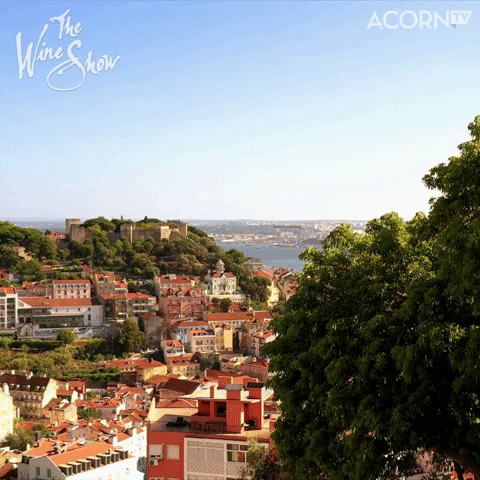 Portugal Travel Vacation Coastline GIF