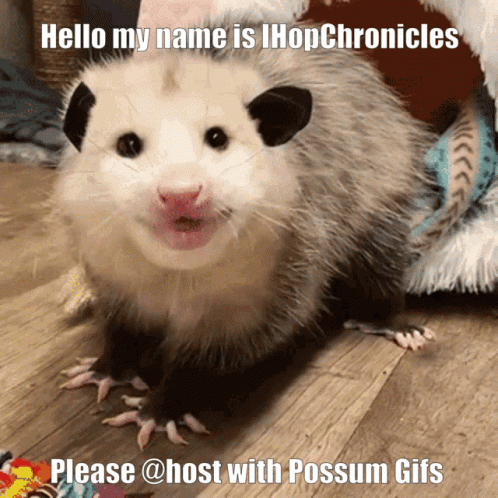 Possum 498 X 498 Gif GIF