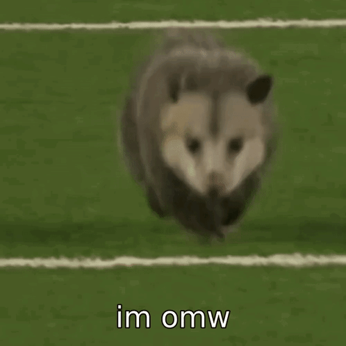 Possum I'm On My Way GIF