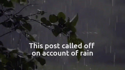 Post Called Off on Account of Rain With Tree Branch