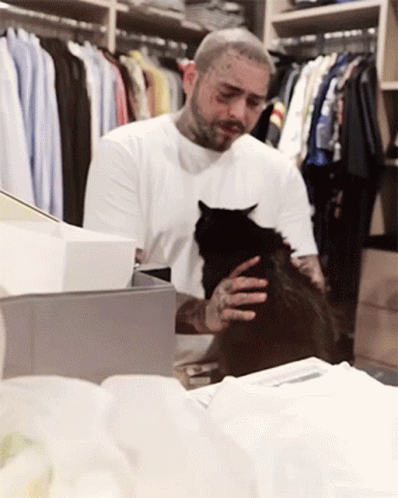 Post Malone And Pet Cat GIF
