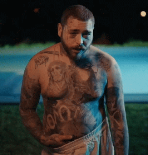 Post Malone Insane Music Video GIF
