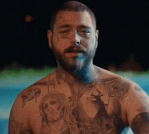 Post Malone Insane GIF