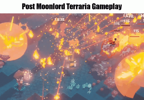 Post Moonlord Terraria Fight GIF