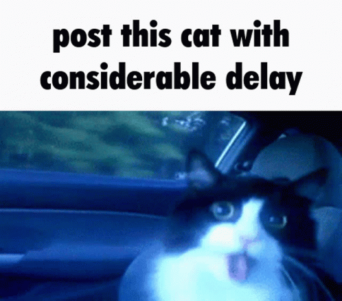 Post This Cat With Considerabel Delay GIF