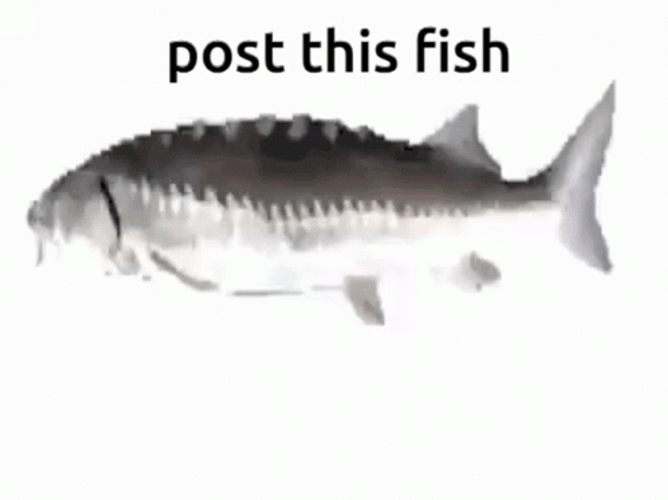 Post This Fish Twirling GIF