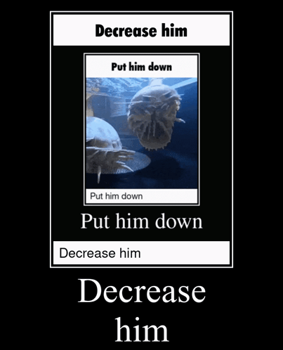 Poster Decrease Him Put Him Down Put Him Down GIF