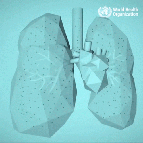 Poster Did You Know Air Pollution Kills 7 Million People