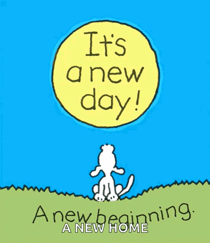 Poster It's a New Day