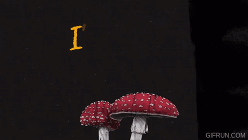 Poster Not Going to Chewing Toadstools by Myself
