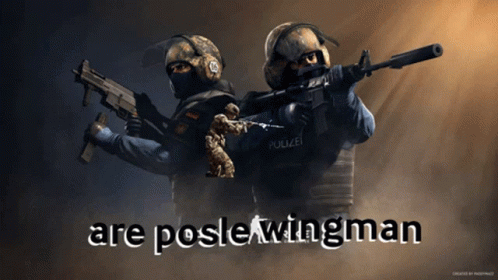 Poster of Two Soldiers Saying Are Postlewingman